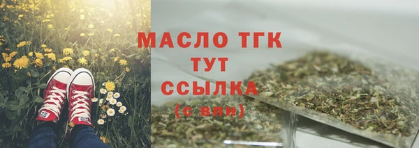 прущие грибы Корсаков