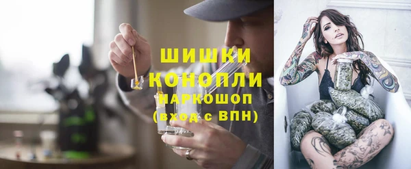 прущие грибы Корсаков