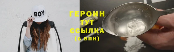 прущие грибы Корсаков