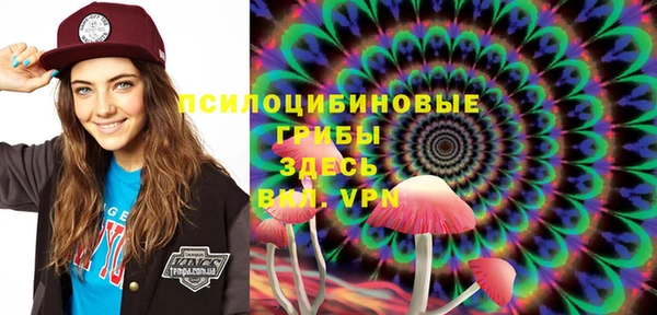 герыч Козловка