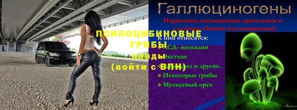 мяу мяу мука Кодинск