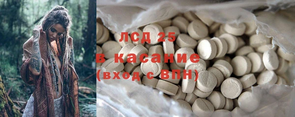 прущие грибы Корсаков
