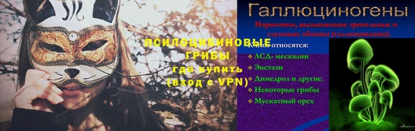 прущие грибы Корсаков