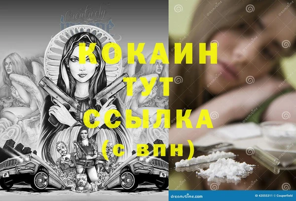 мяу мяу мука Кодинск