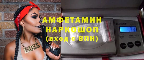 прущие грибы Корсаков